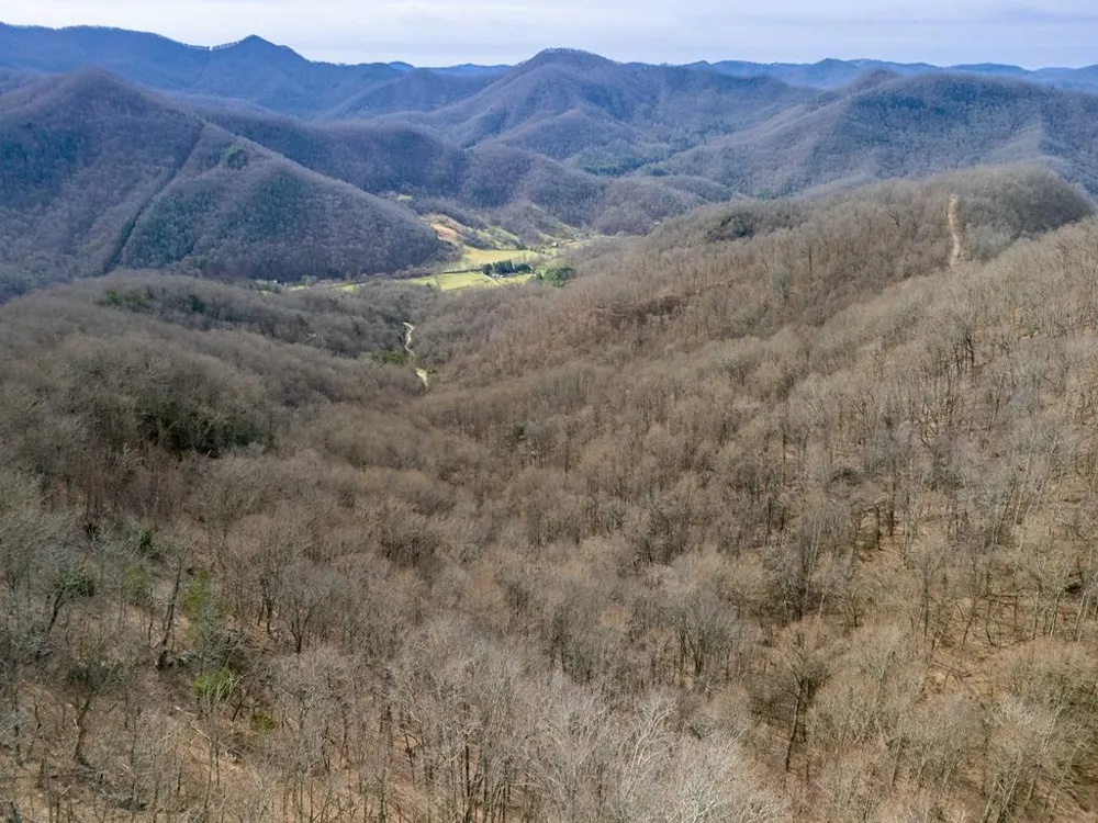 Catnip Rd Cullowhee, NC 28723