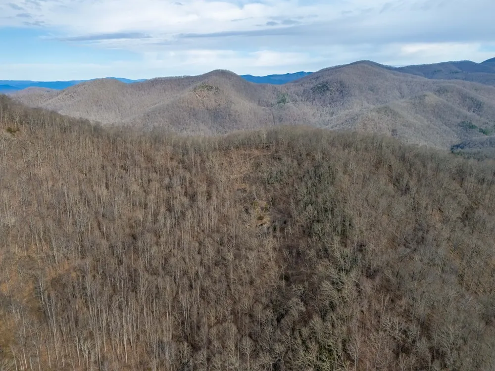 Catnip Rd Cullowhee, NC 28723