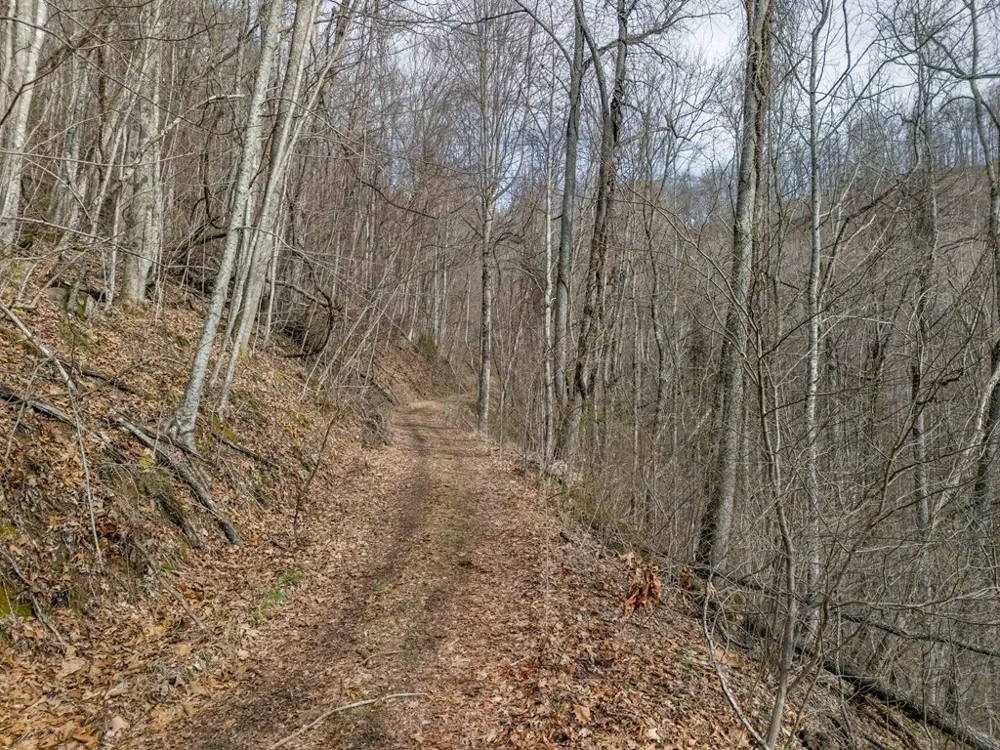 Catnip Rd Cullowhee, NC 28723