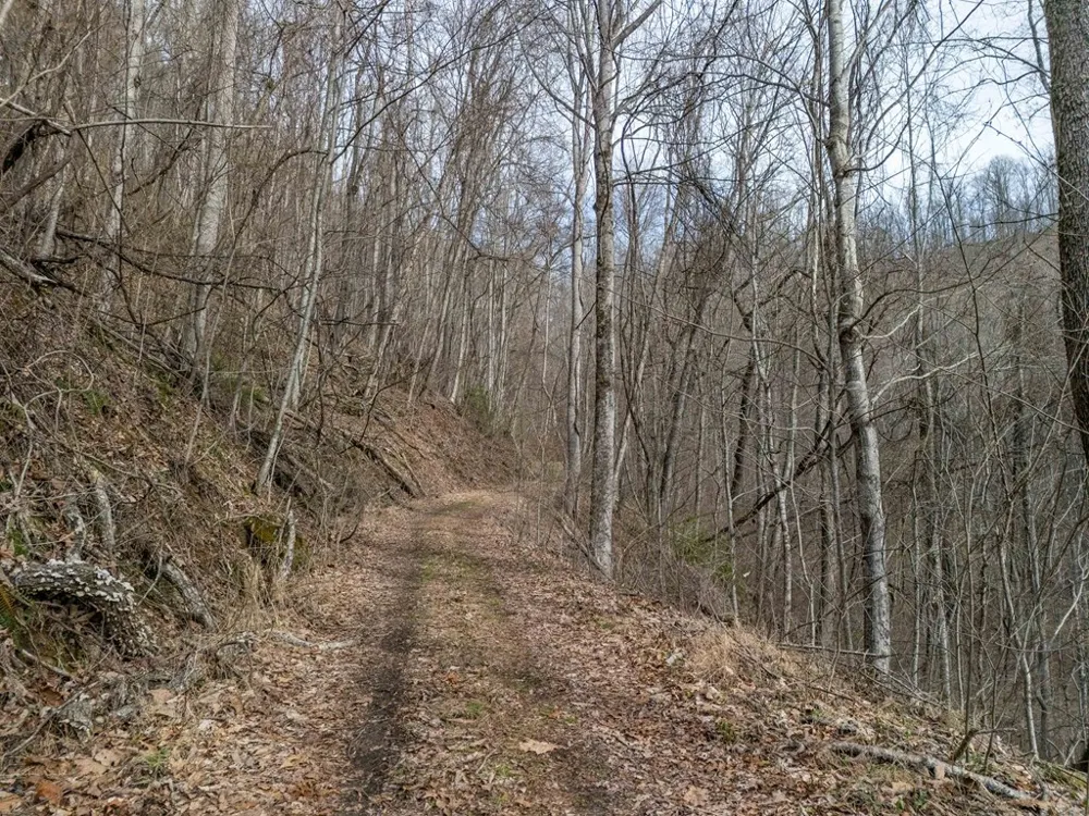 Catnip Rd Cullowhee, NC 28723