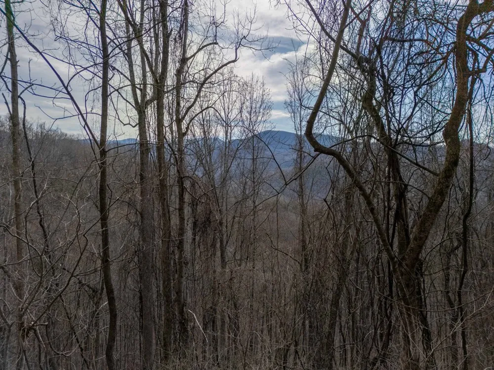 Catnip Rd Cullowhee, NC 28723