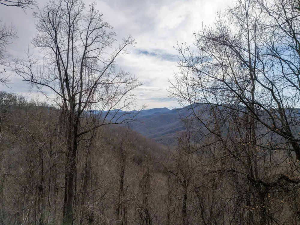 Catnip Rd Cullowhee, NC 28723