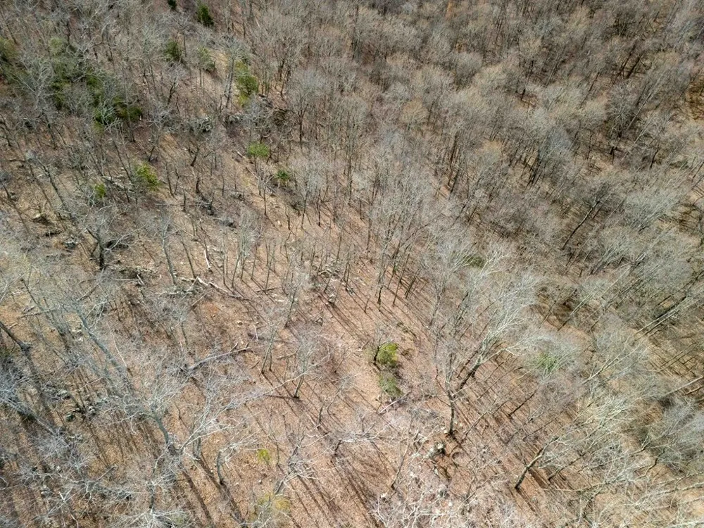 Catnip Rd Cullowhee, NC 28723
