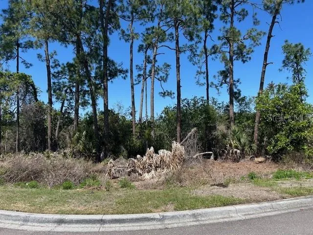 12405 CRUXBURY DRIVE Windermere, FL 34786