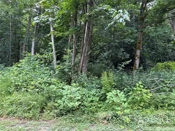 72 Saratoga Drive