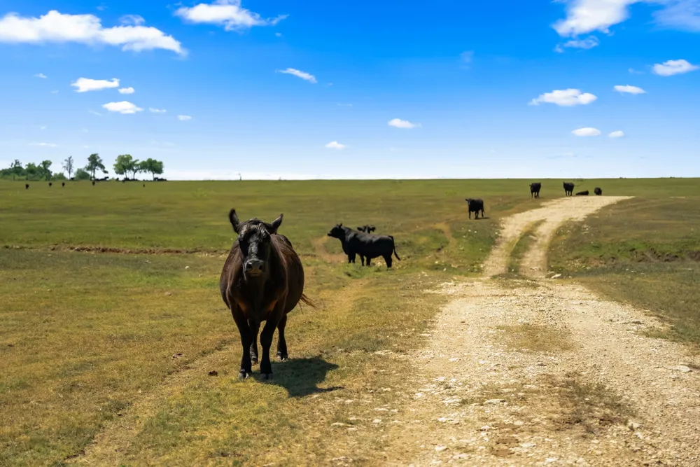 Solana Ranch Road Salado, TX 76571