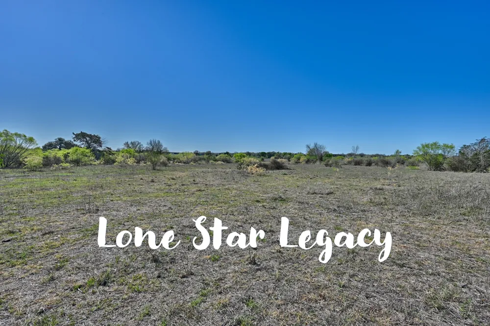 CR 406/Branecky Road Flatonia, TX 78629