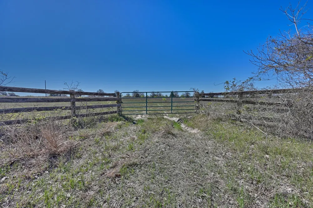 CR 406/Branecky Road Flatonia, TX 78629