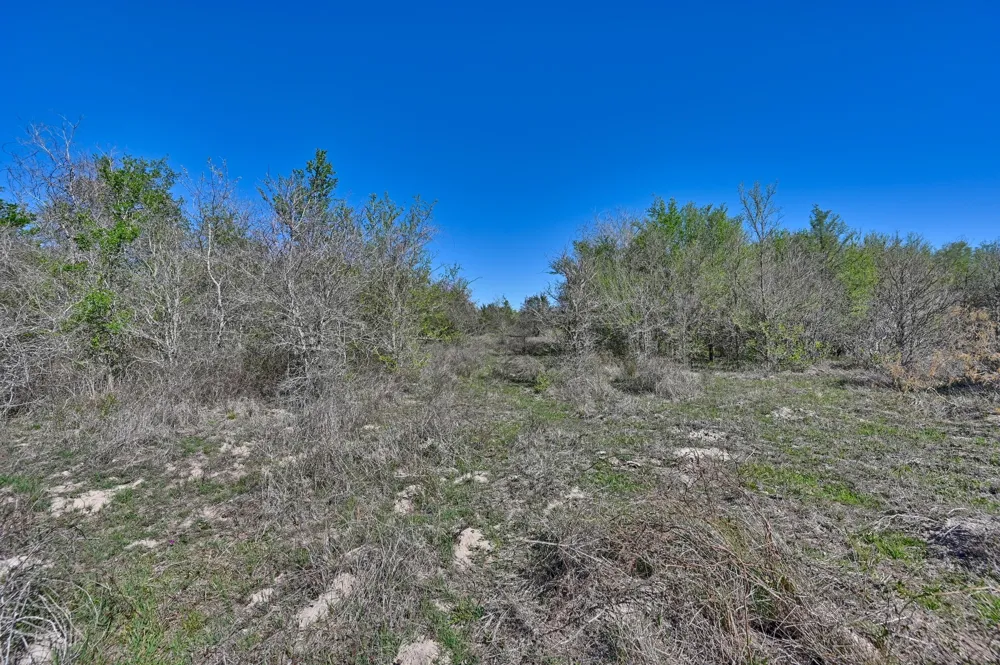CR 406/Branecky Road Flatonia, TX 78629
