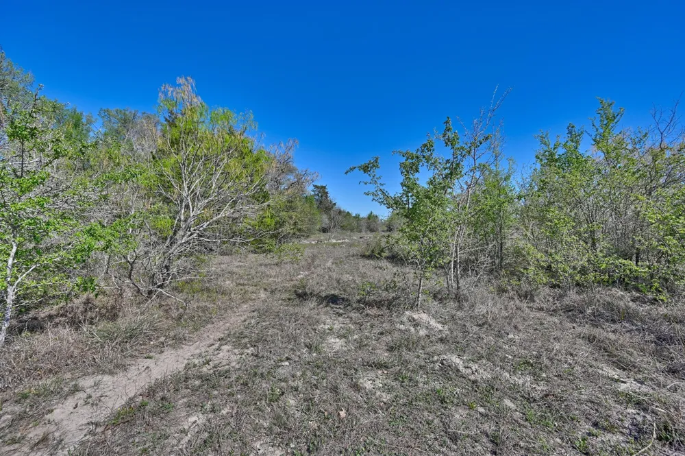 CR 406/Branecky Road Flatonia, TX 78629