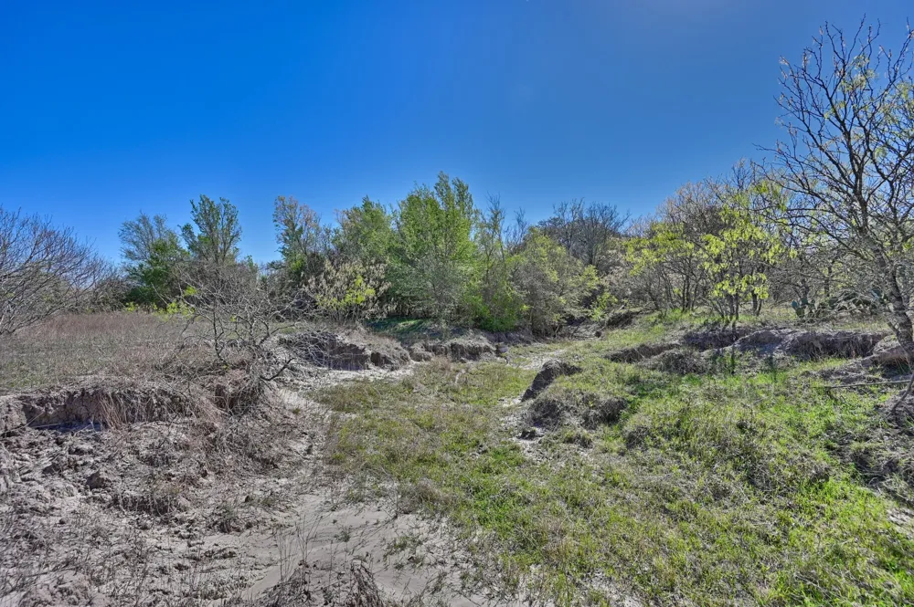 CR 406/Branecky Road Flatonia, TX 78629
