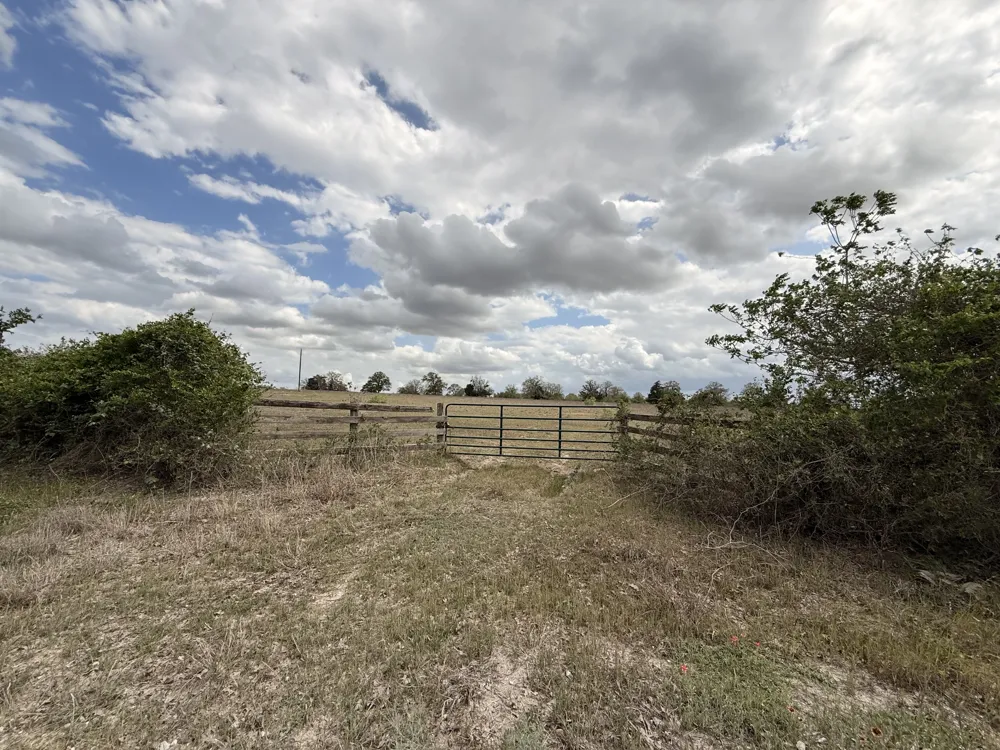 CR 406/Branecky Road Flatonia, TX 78629