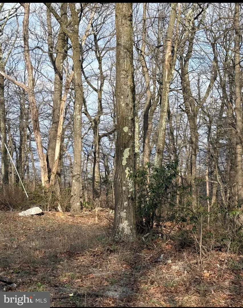 BOBCAT TRL Winchester, VA 22602