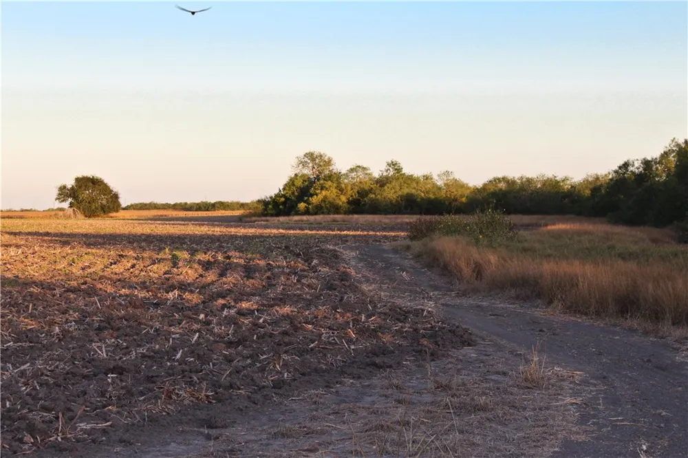 CR 20 Robstown, TX 78380
