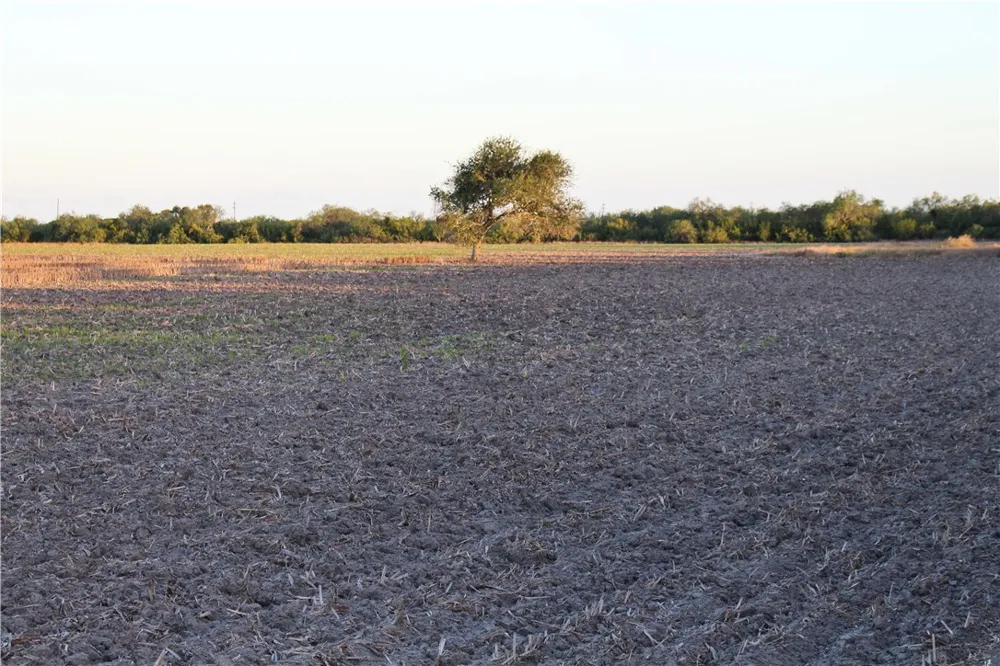 CR 20 Robstown, TX 78380