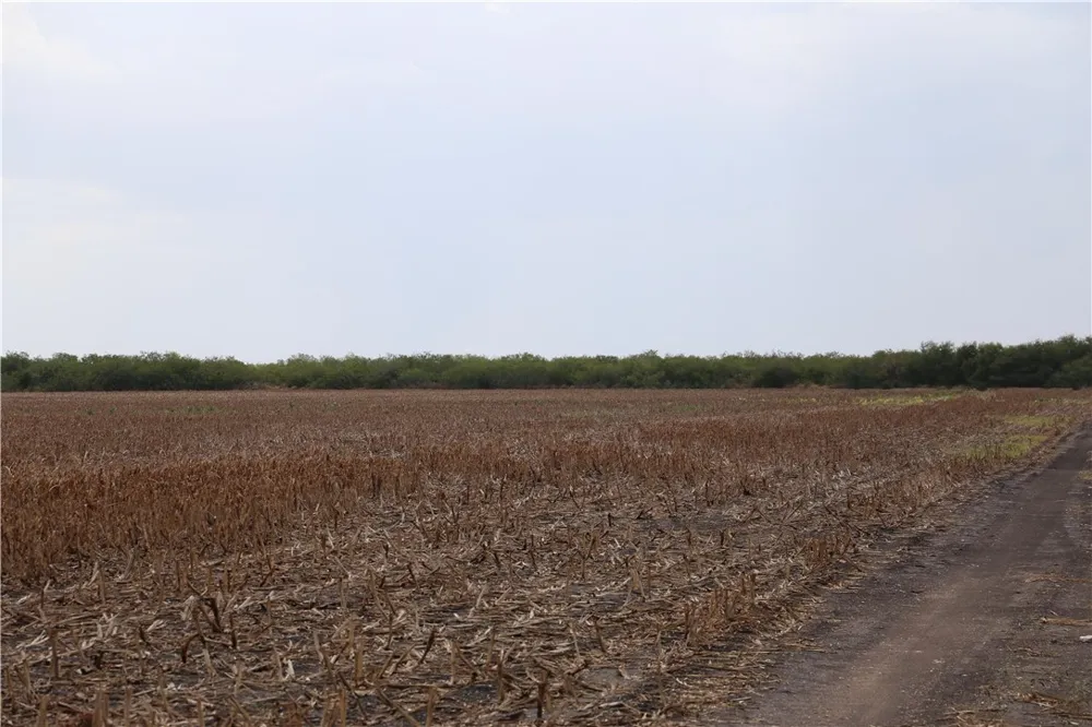 CR 20 Robstown, TX 78380