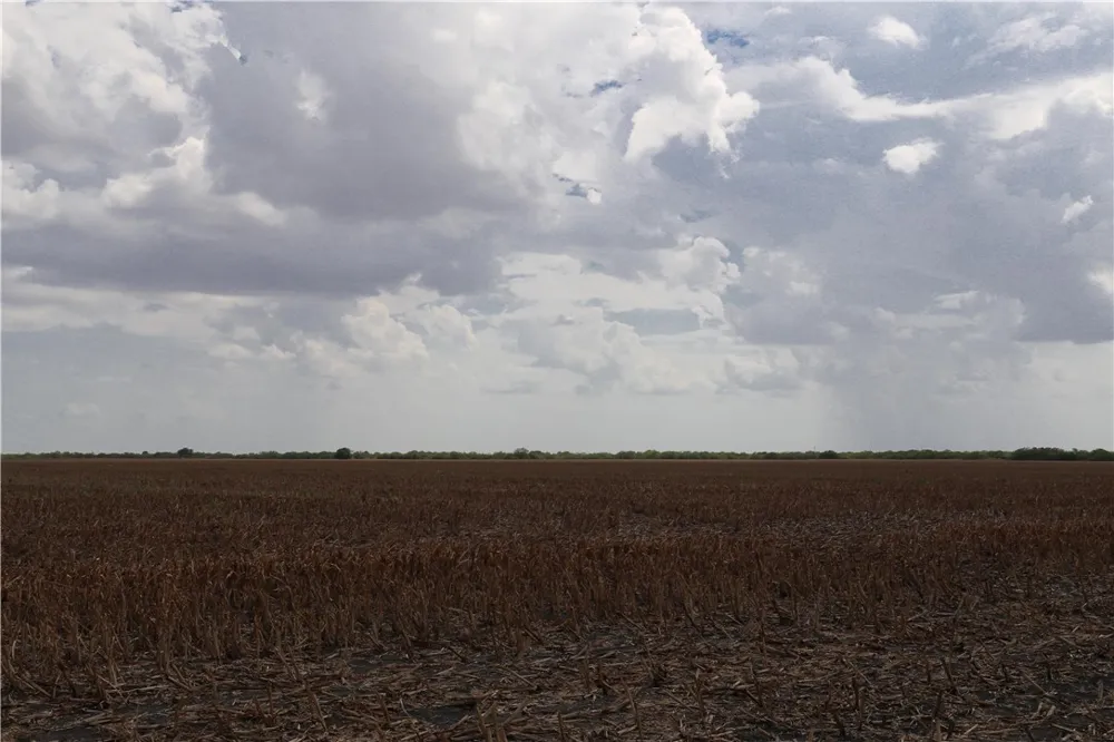 CR 20 Robstown, TX 78380