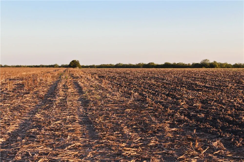 CR 20 Robstown, TX 78380
