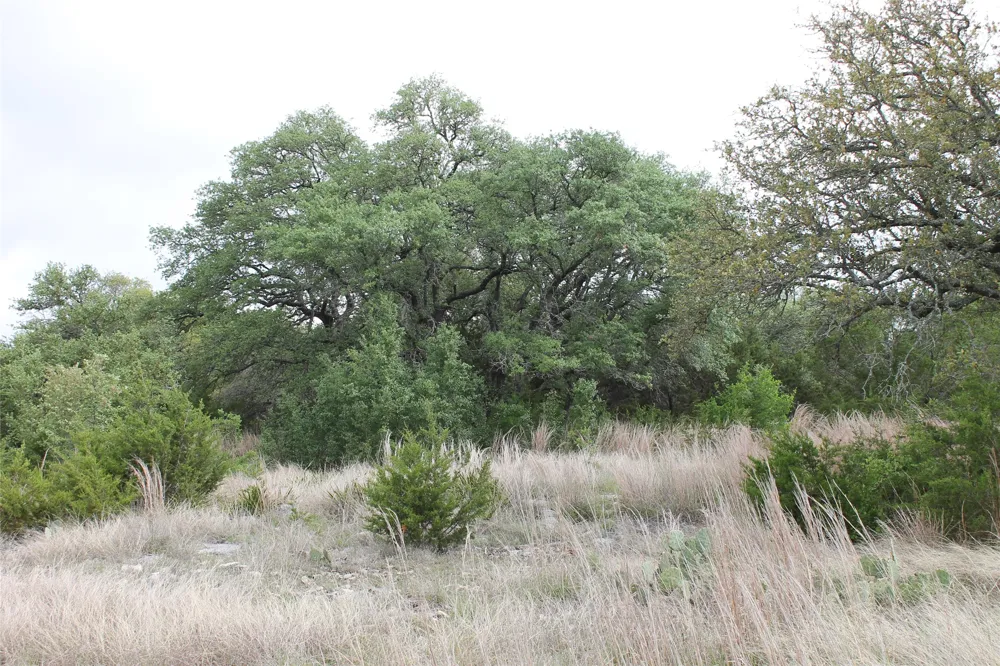 1 Saddle Ridge Drive Bertram, TX 78605