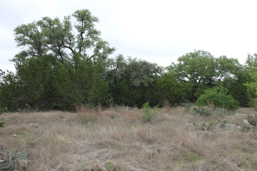 1 Saddle Ridge Drive Bertram, TX 78605