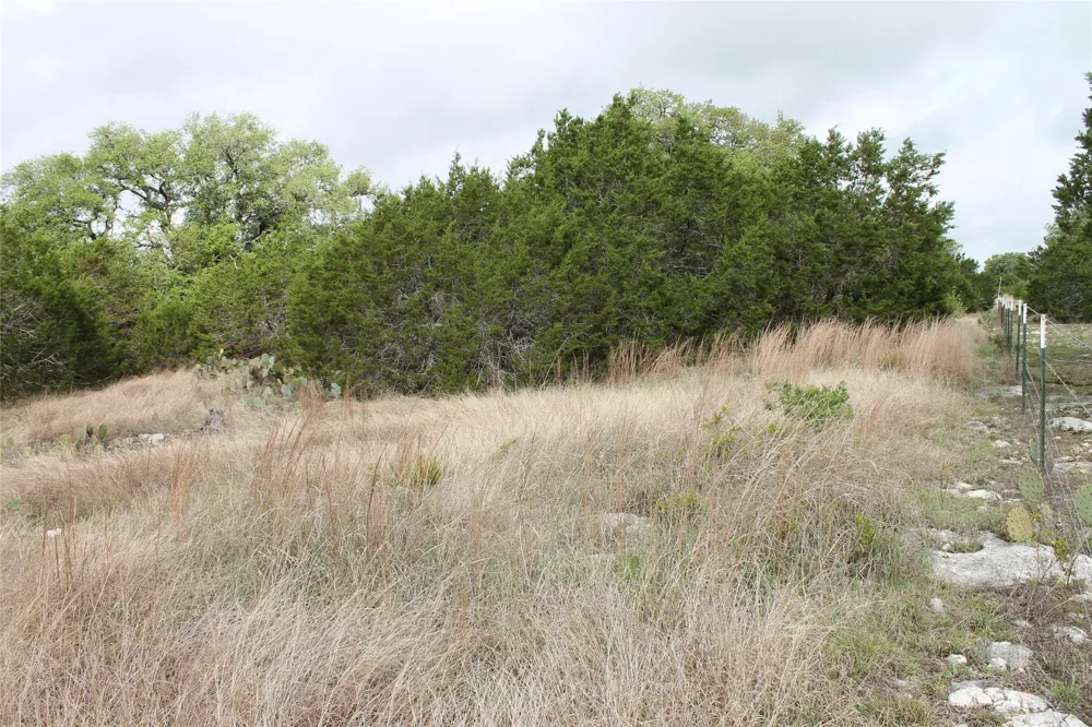 1 Saddle Ridge Drive Bertram, TX 78605