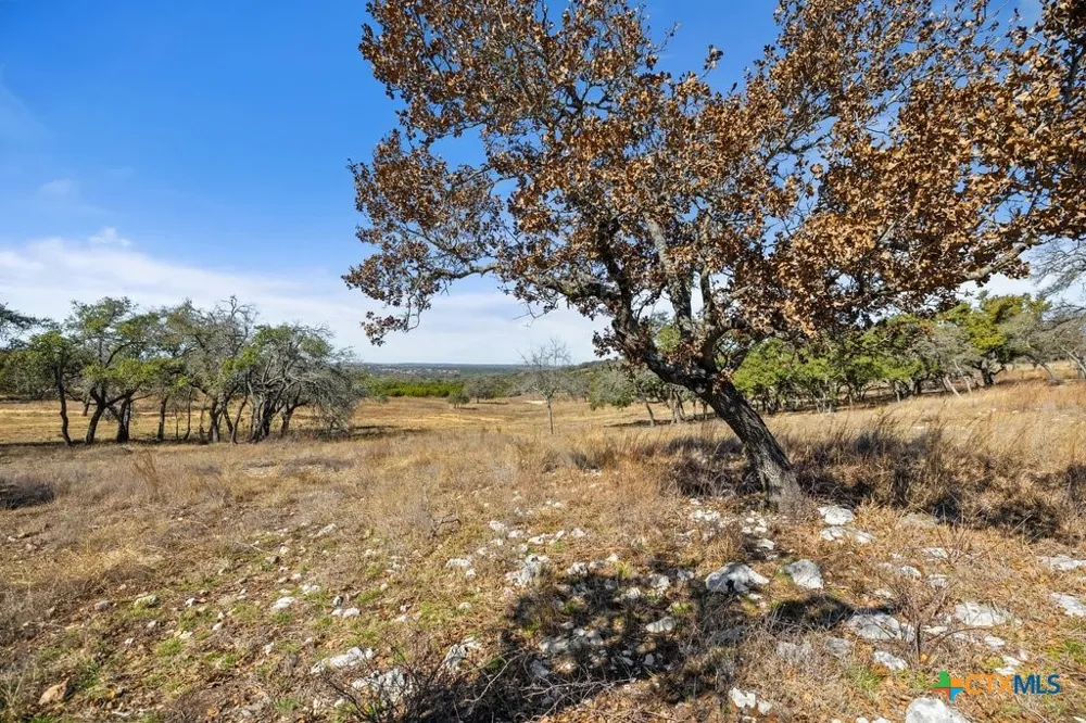 529 Skyline Drive Blanco, TX 78606