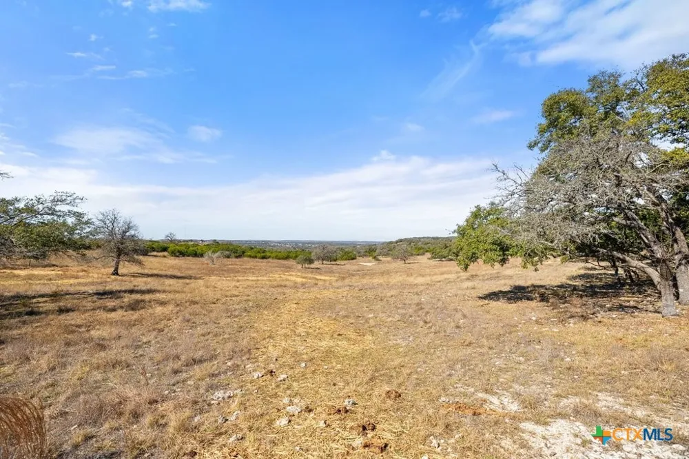 529 Skyline Drive Blanco, TX 78606