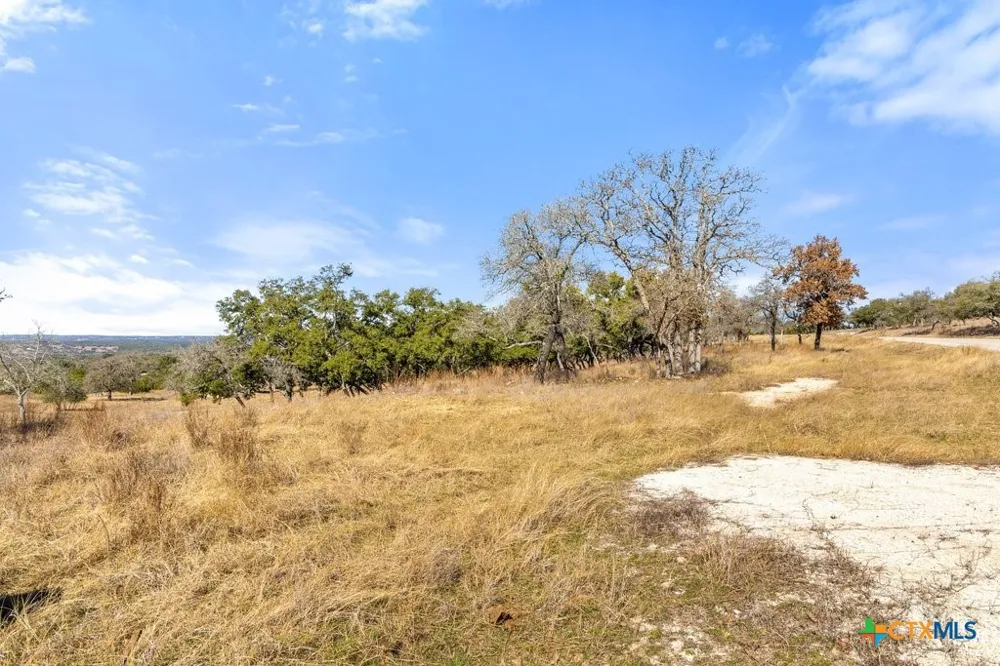 529 Skyline Drive Blanco, TX 78606