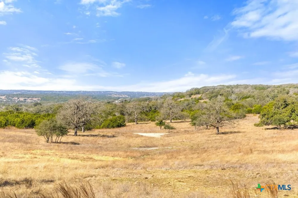 529 Skyline Drive Blanco, TX 78606