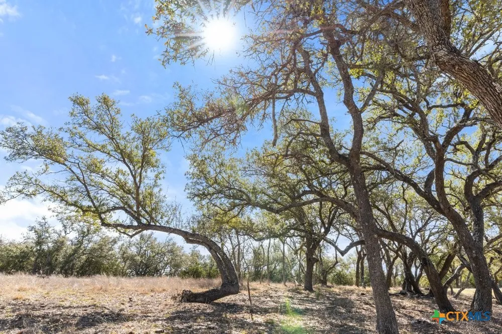 529 Skyline Drive Blanco, TX 78606