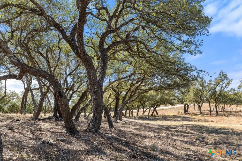 529 Skyline Drive Blanco, TX 78606
