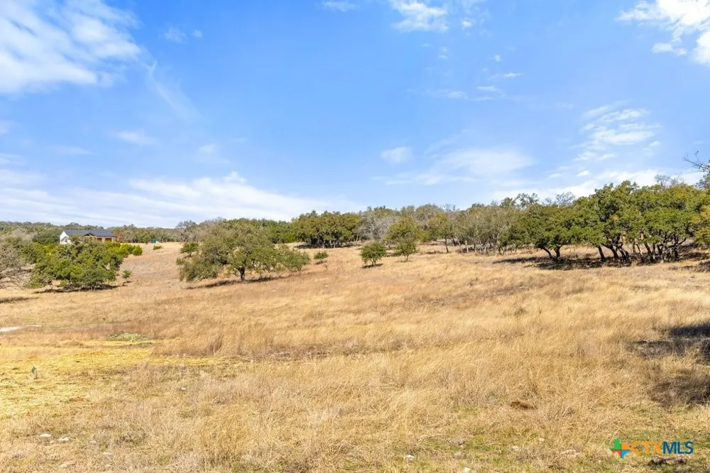 529 Skyline Drive Blanco, TX 78606