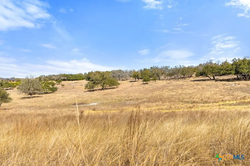 529 Skyline Drive Blanco, TX 78606