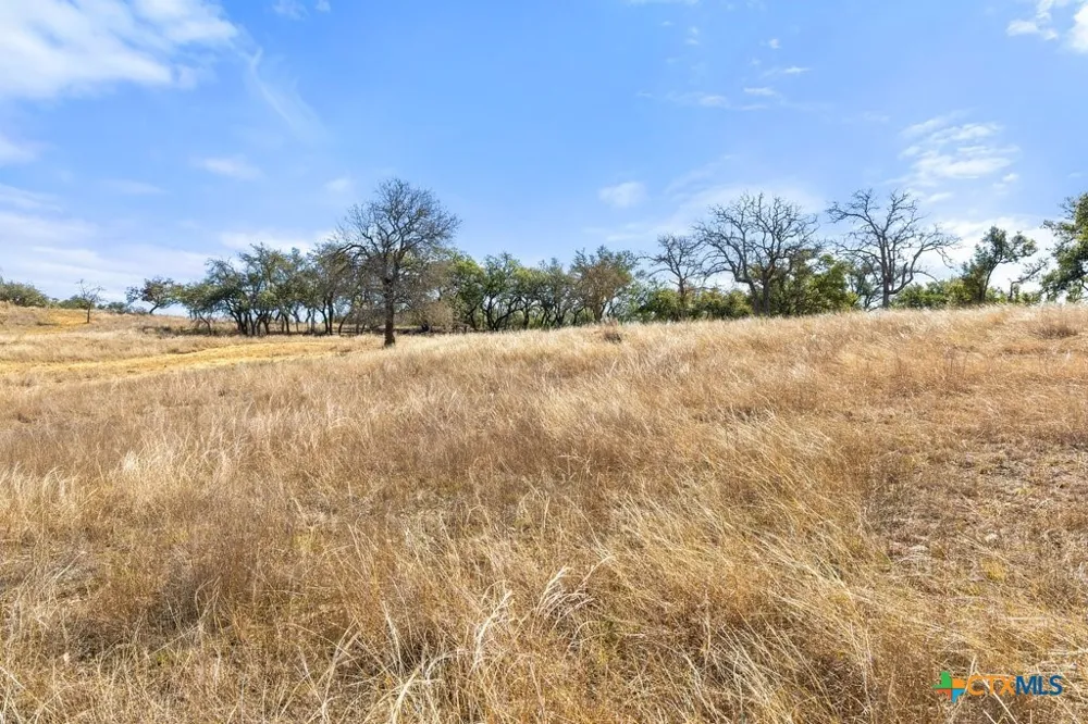 529 Skyline Drive Blanco, TX 78606