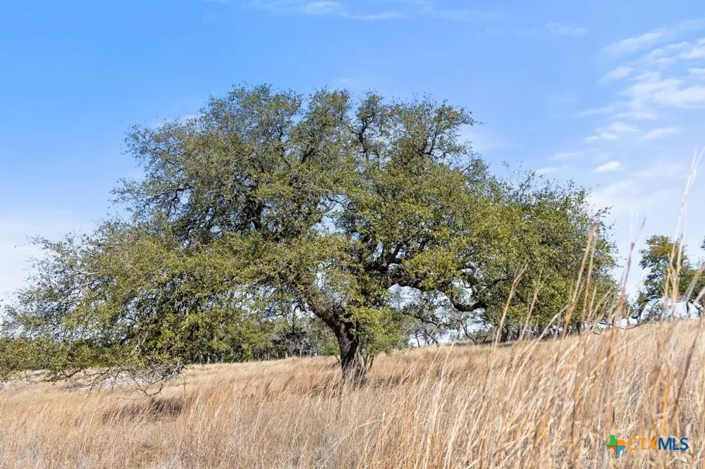 529 Skyline Drive Blanco, TX 78606