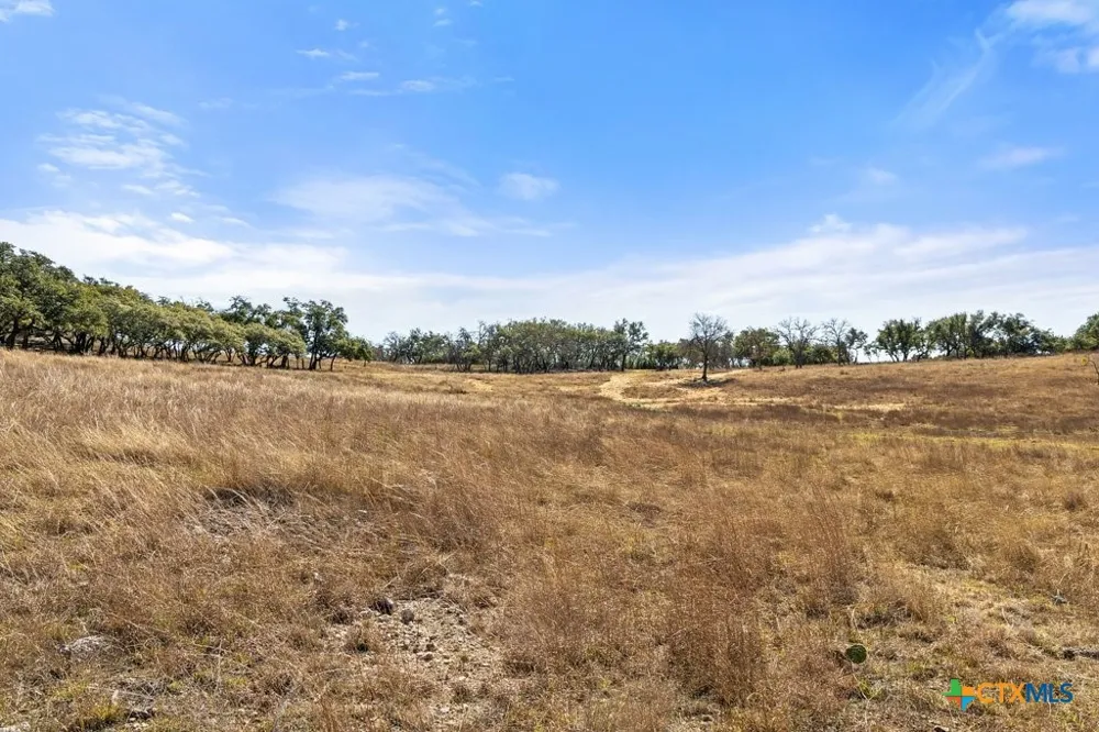 529 Skyline Drive Blanco, TX 78606