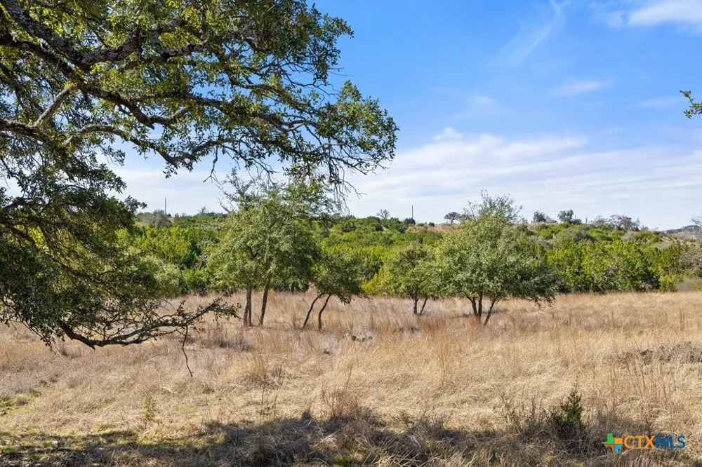 529 Skyline Drive Blanco, TX 78606