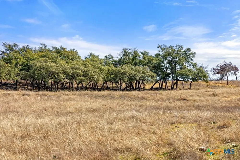 529 Skyline Drive Blanco, TX 78606