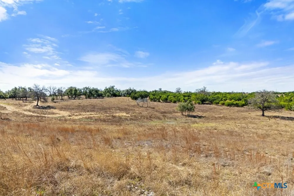 529 Skyline Drive Blanco, TX 78606