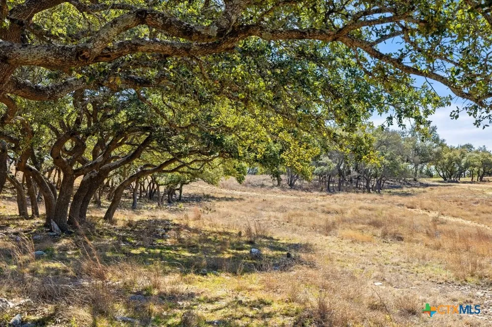 529 Skyline Drive Blanco, TX 78606