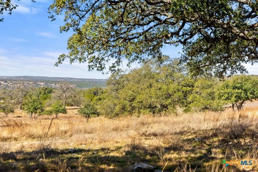 529 Skyline Drive Blanco, TX 78606