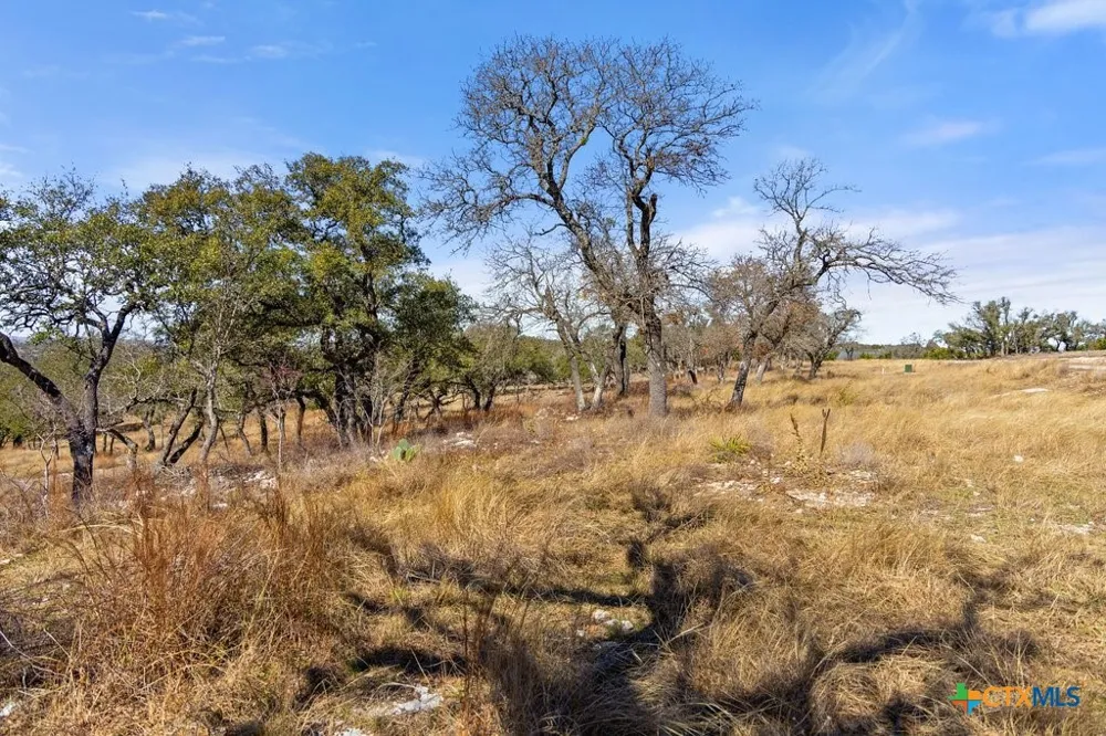 529 Skyline Drive Blanco, TX 78606