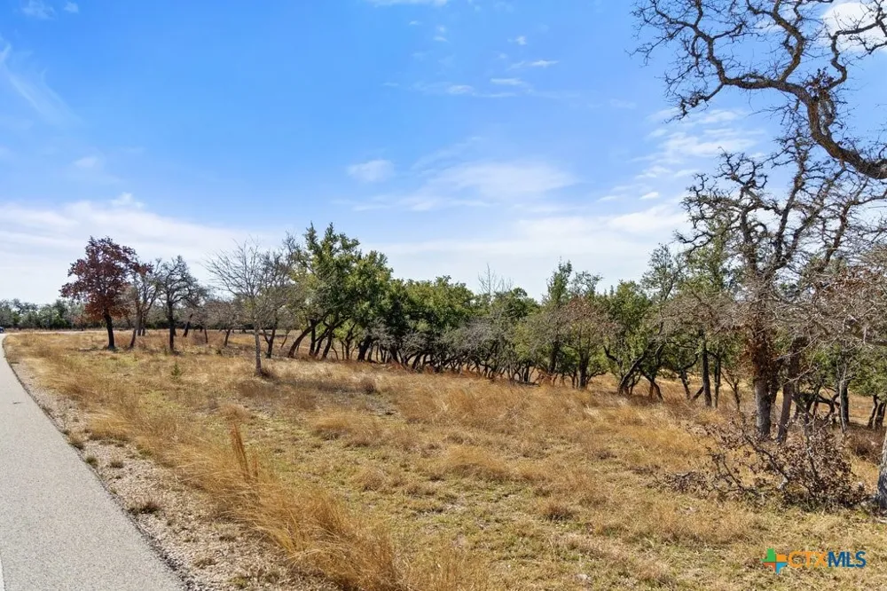 529 Skyline Drive Blanco, TX 78606