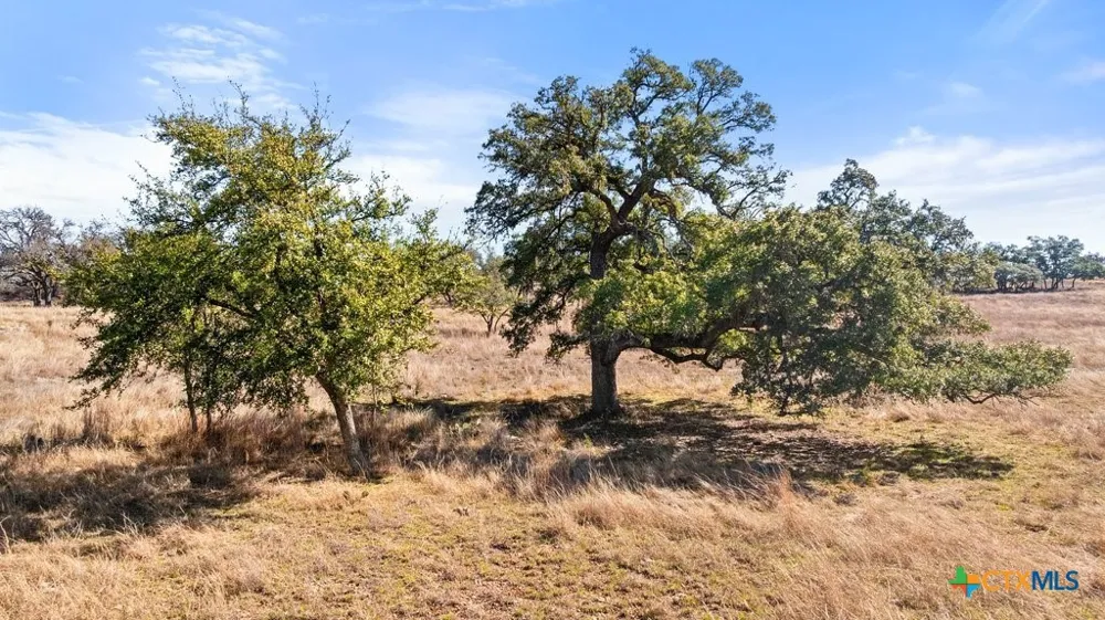 529 Skyline Drive Blanco, TX 78606