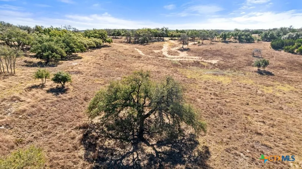 529 Skyline Drive Blanco, TX 78606