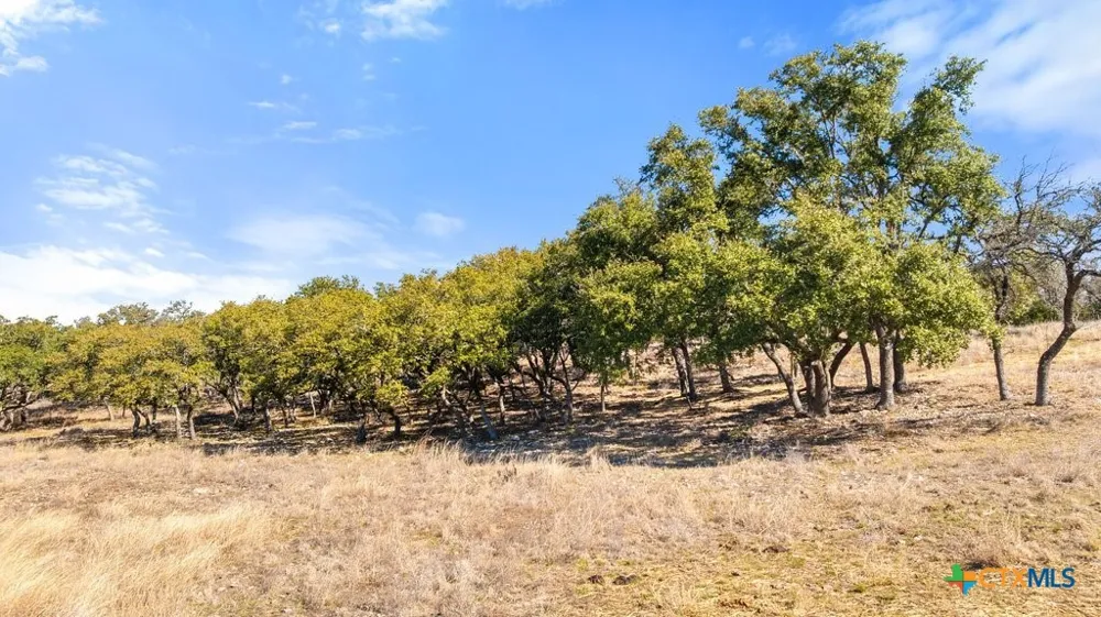 529 Skyline Drive Blanco, TX 78606