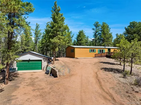 1299 Pikes Peak Drive