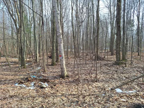 Birch Street #LOT 10, 11, 12 BL 13