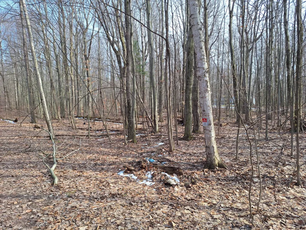 Birch Street #LOT 10, 11, 12 BL 13 Ludington, MI 49431