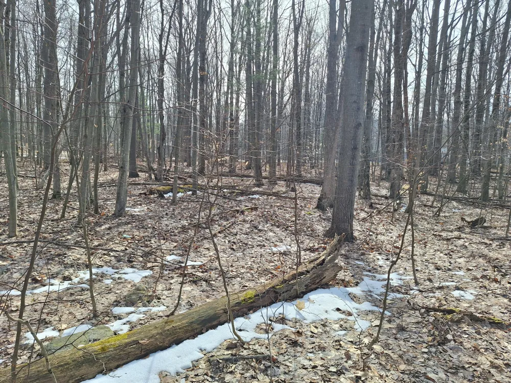Birch Street #LOT 10, 11, 12 BL 13 Ludington, MI 49431
